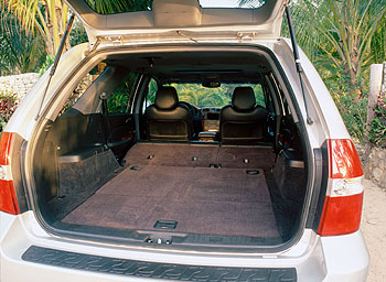 Cavernous Trunk