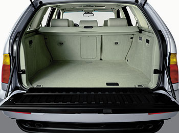 Huge Trunk for Cargo