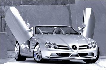 Vision SLR